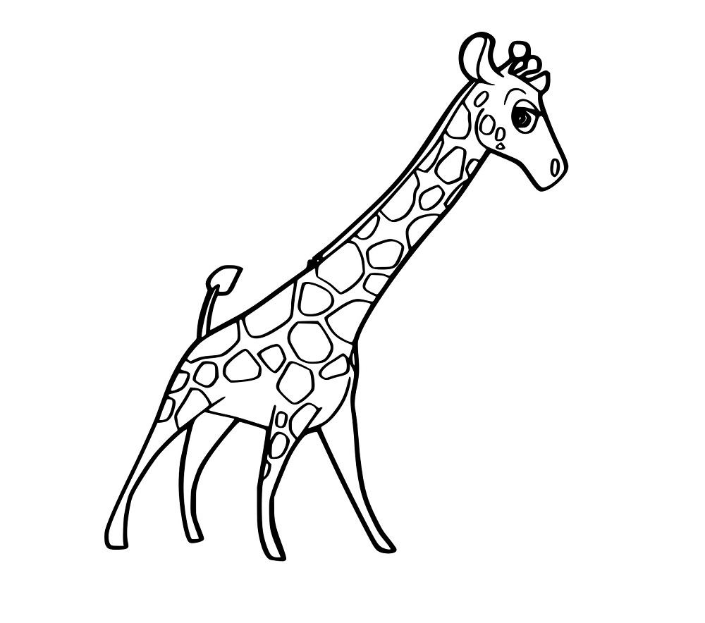 Einfaches Foto einer kleinen Giraffe