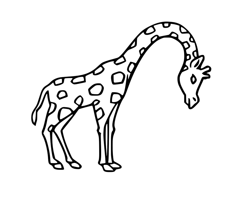 Einfaches Giraffe Bild