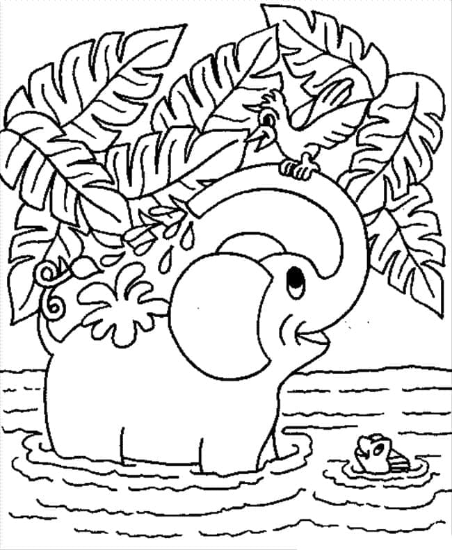 Elefant und Vogel