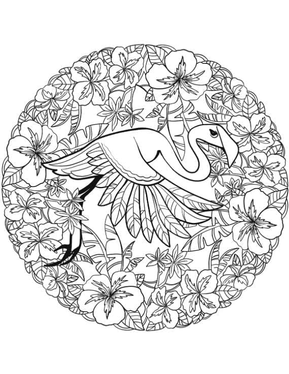 Flamingo Tiere Mandala