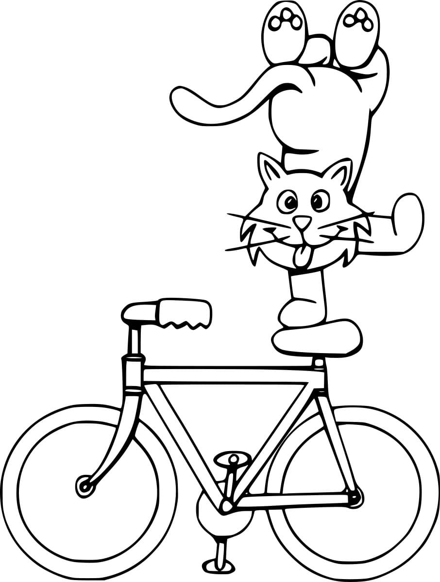 Freie Katze auf dem Fahrrad