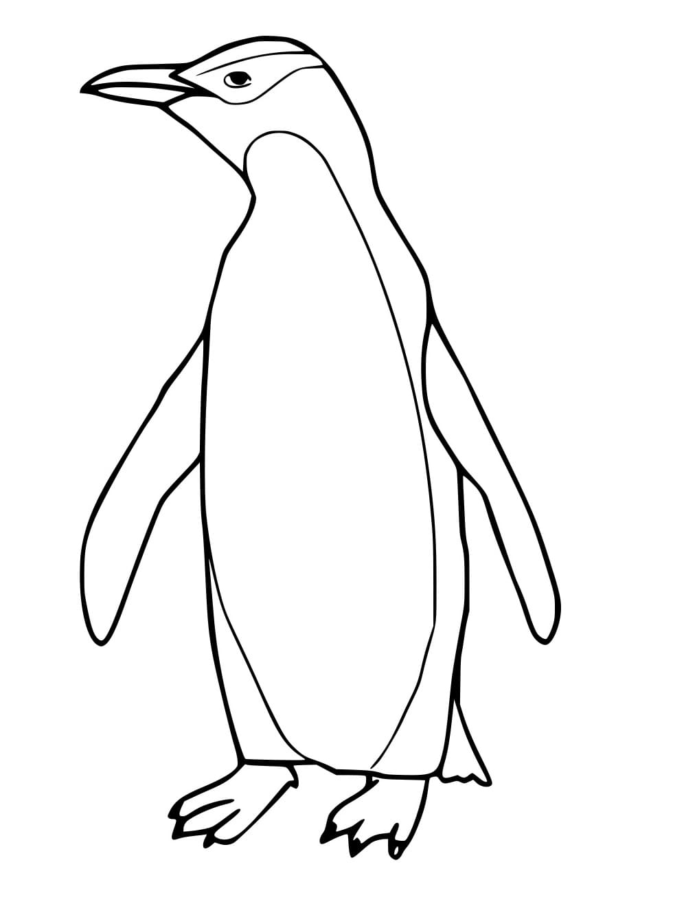 Gelbaugenpinguin