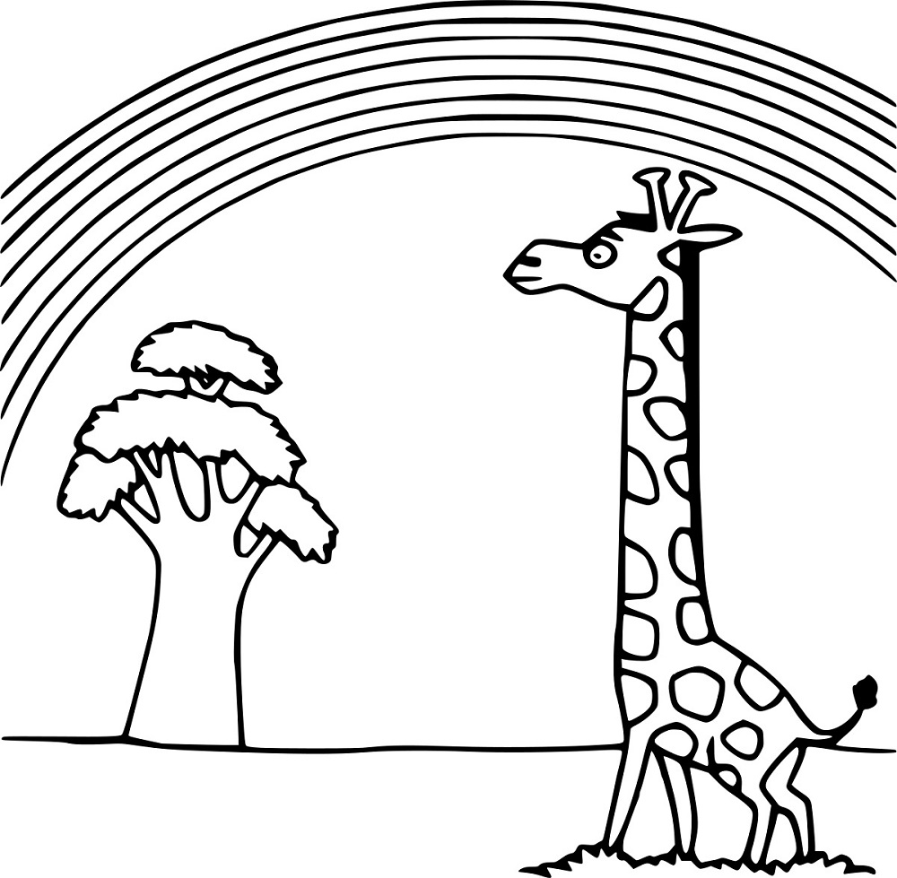 Giraffe und ein Regenbogen