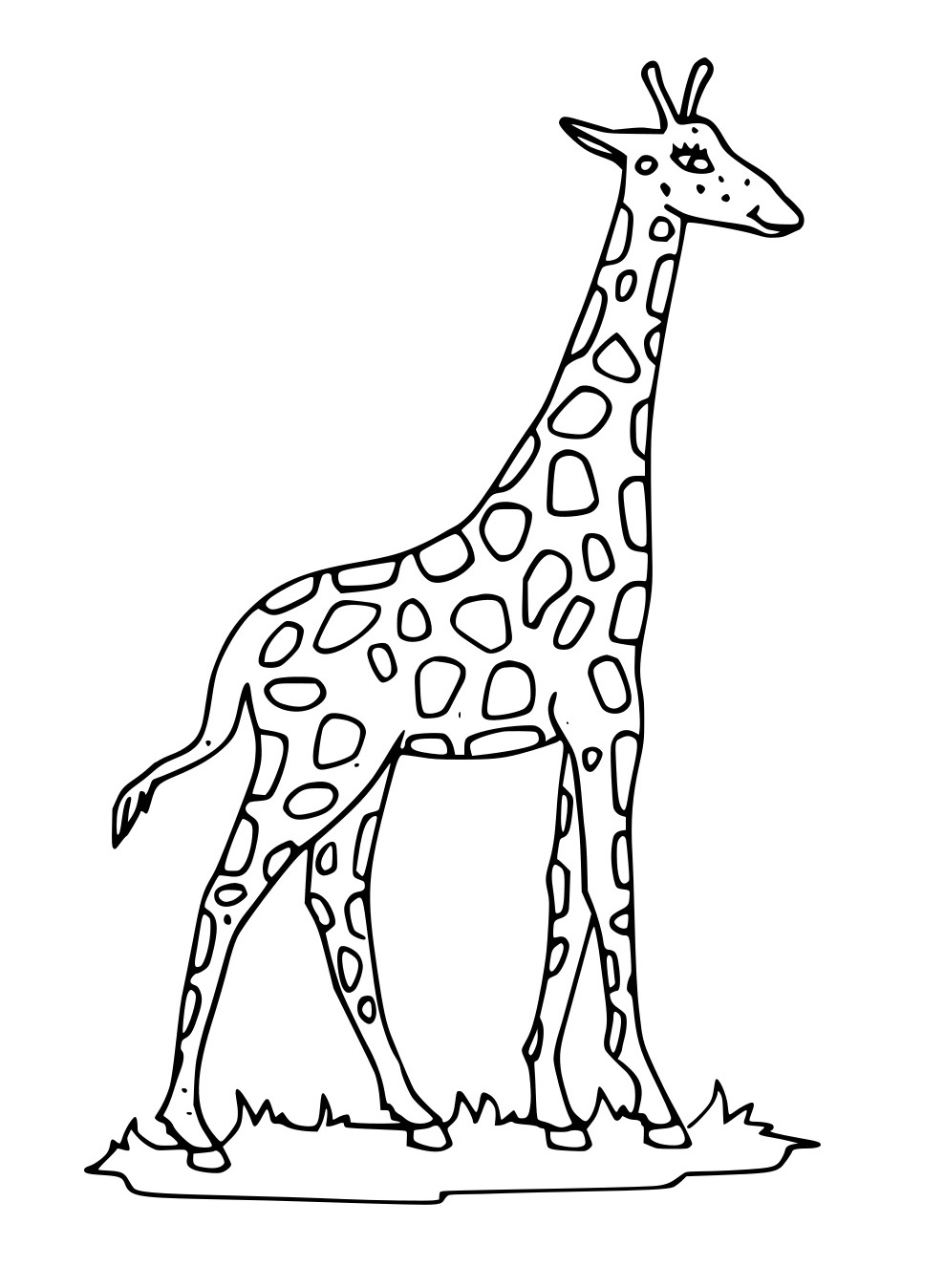 Giraffe zu Fuß auf den Gräsern