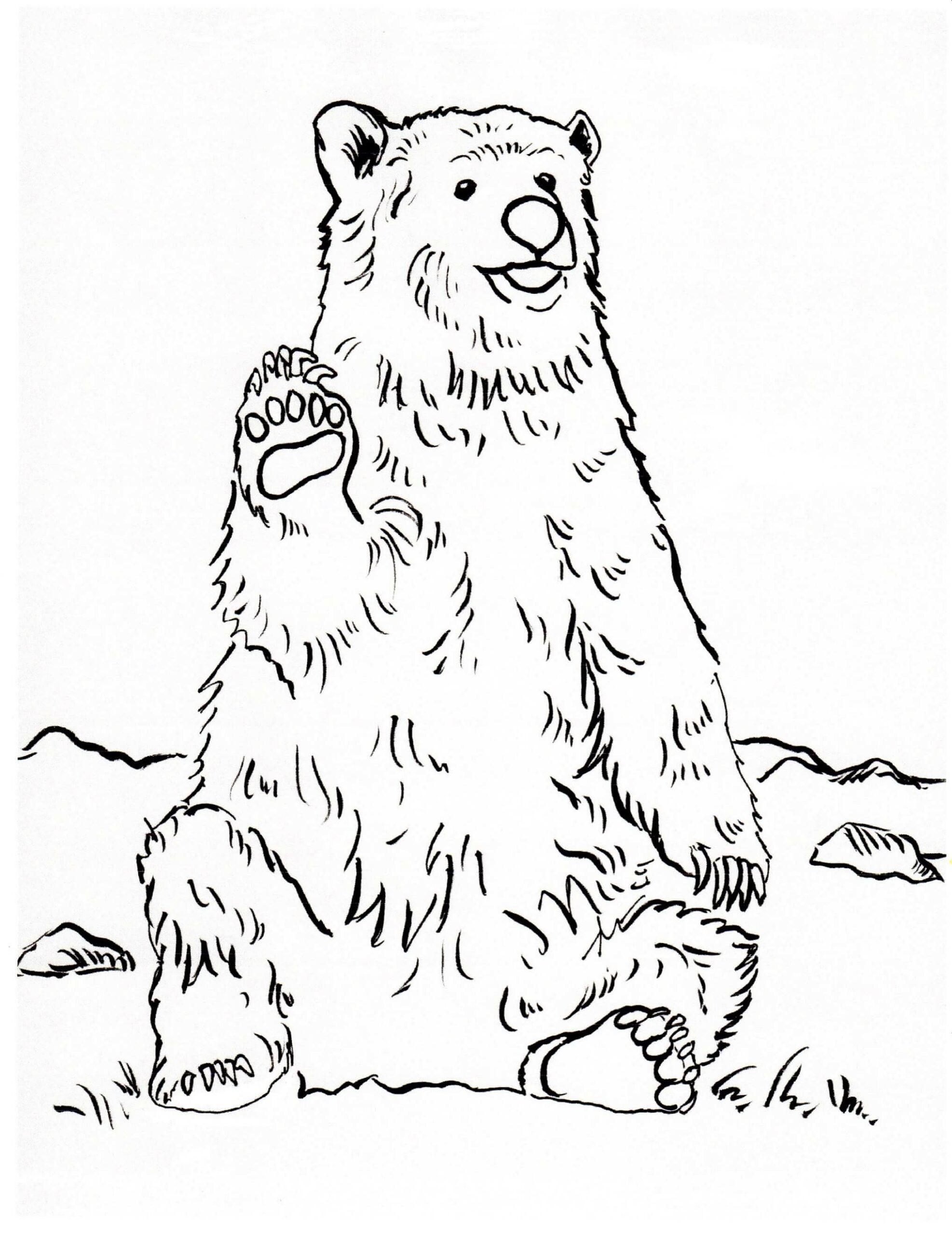 Grizzly Bären sitzend