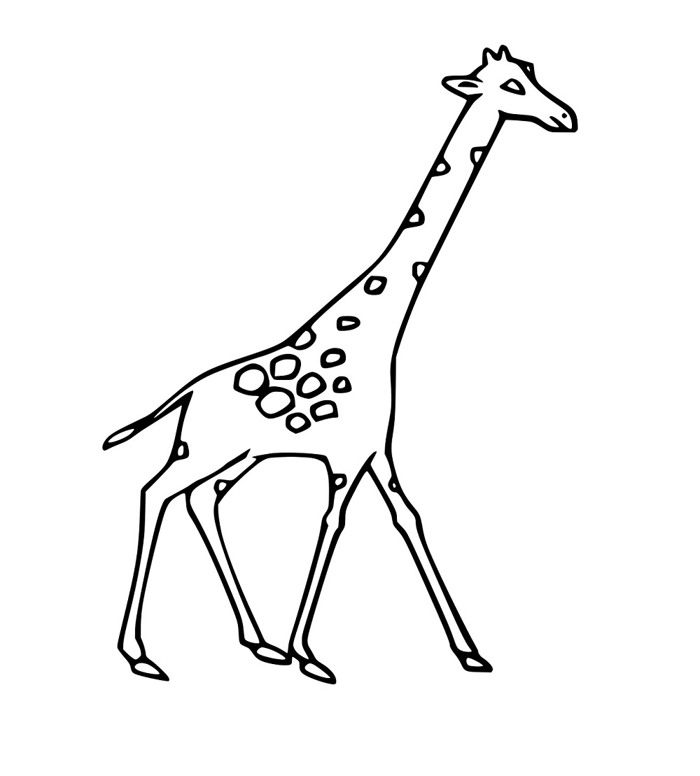 Große dünne Giraffe