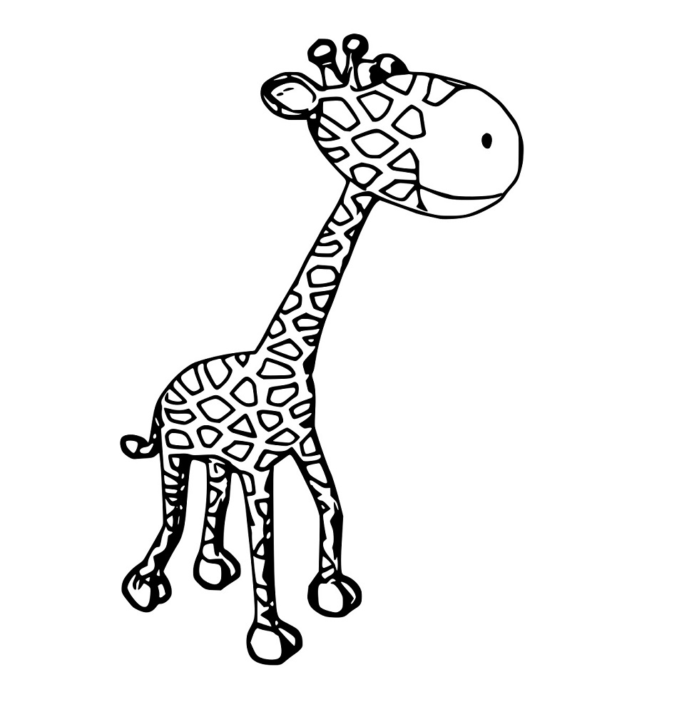 Großkopf Giraffe