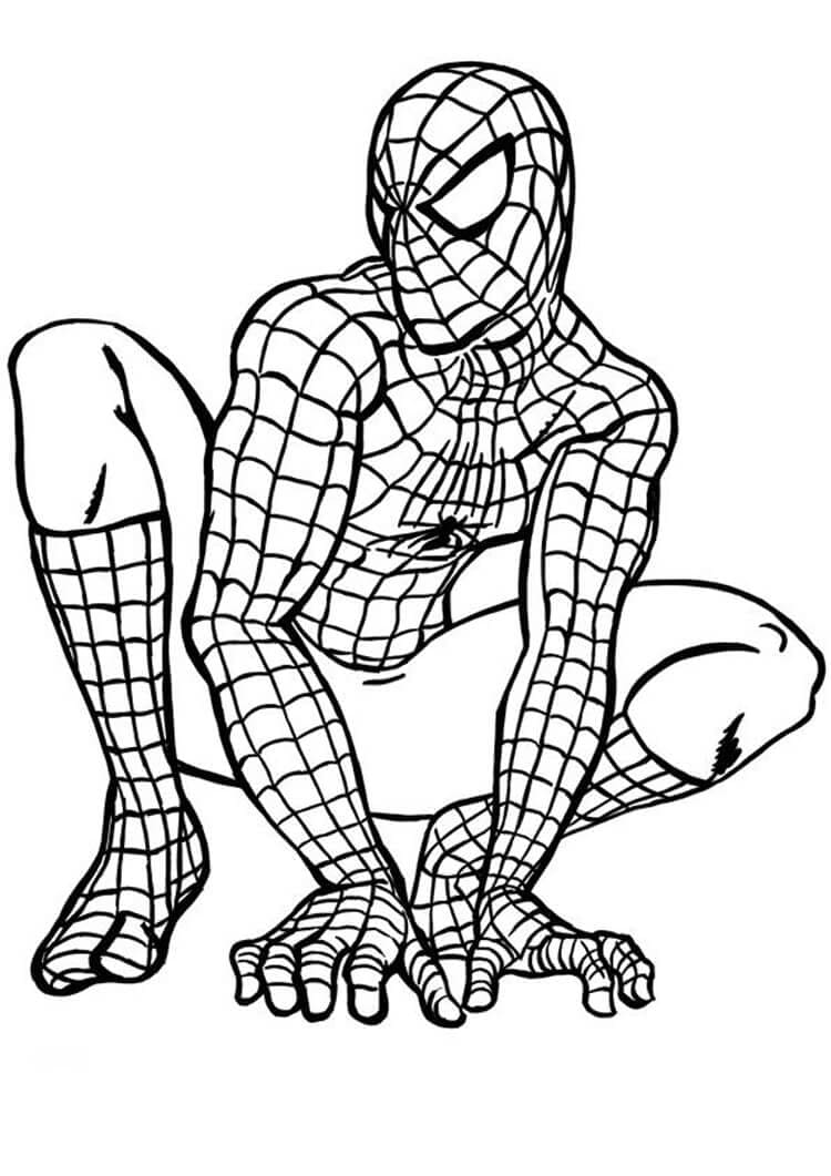 Hübsch Spiderman