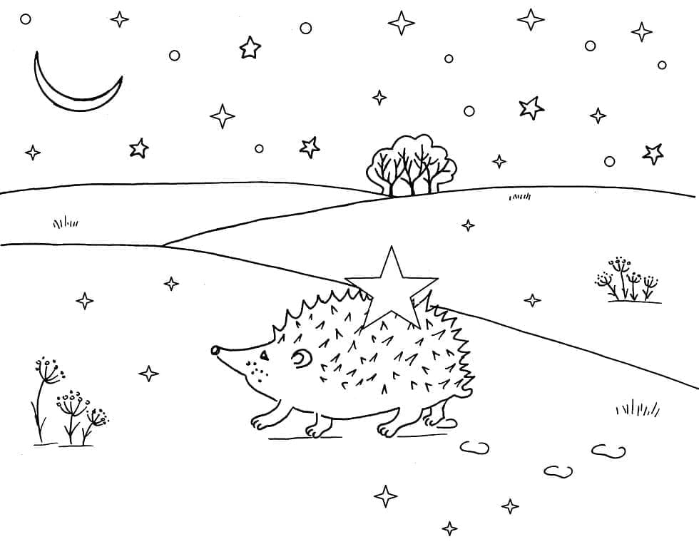 Igel in der Nacht