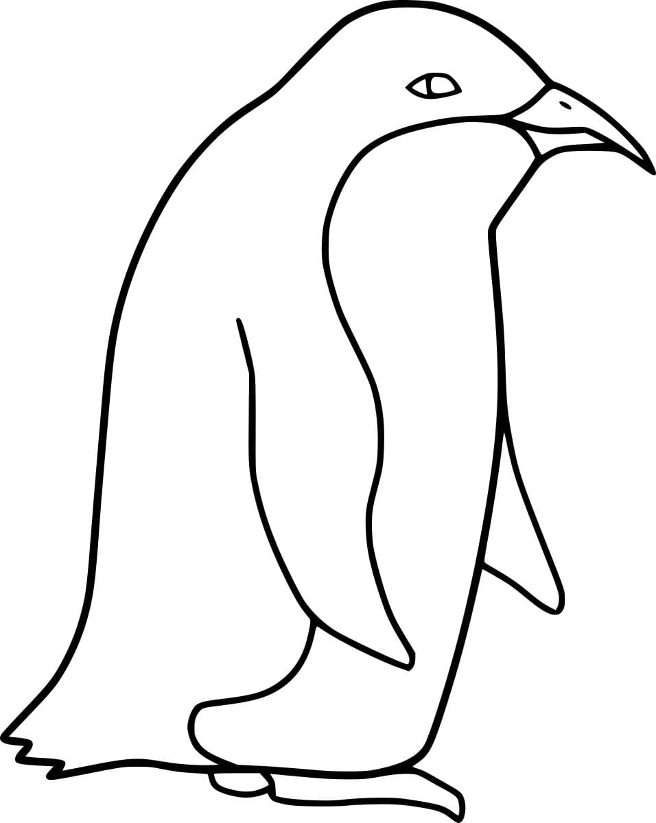 Kaiserpinguin