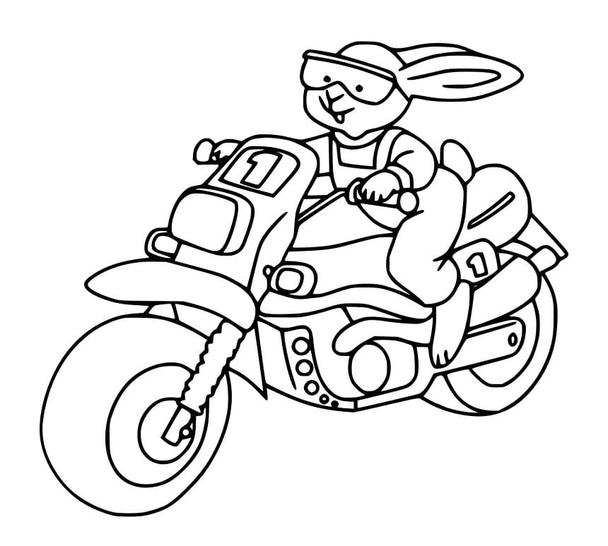 Kaninchen auf einem Motorrad