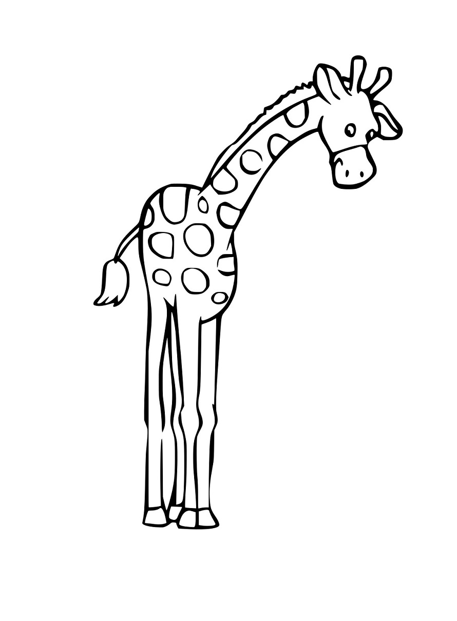 Karikatur Einfache Giraffe