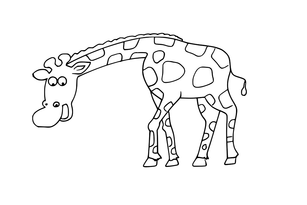 Karikatur lustige Giraffe