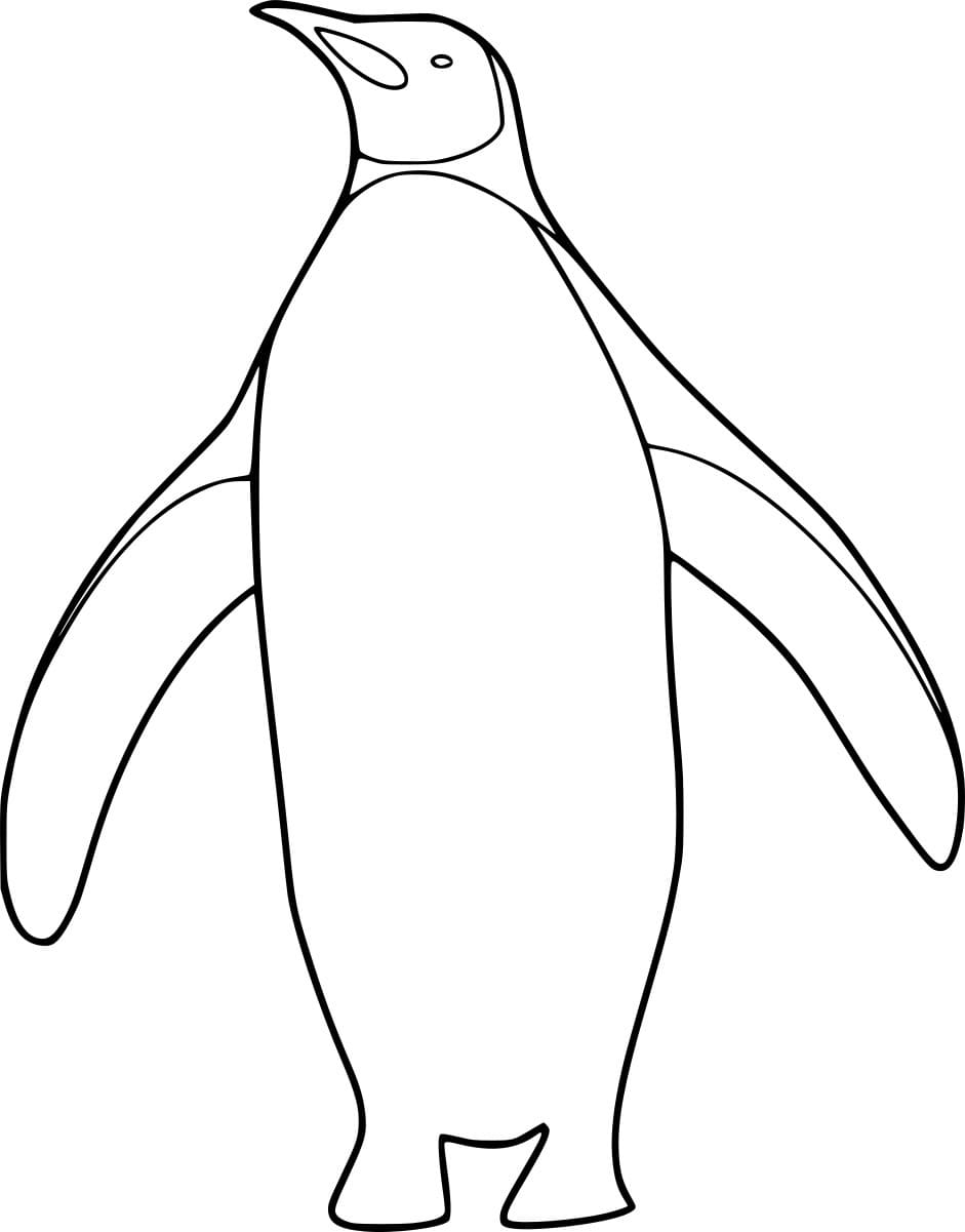 Königspinguin