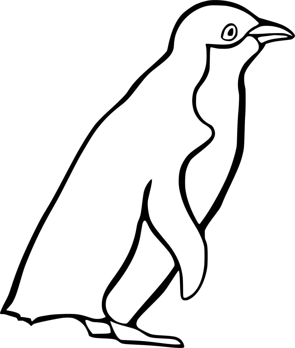 Magellanpinguin