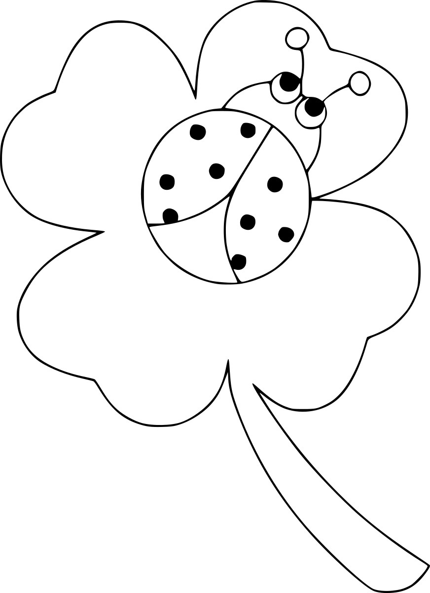 Marienkäfer auf der Blume