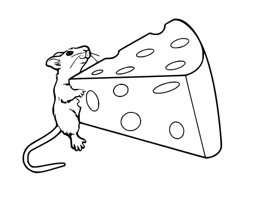 Maus hält großen Käse