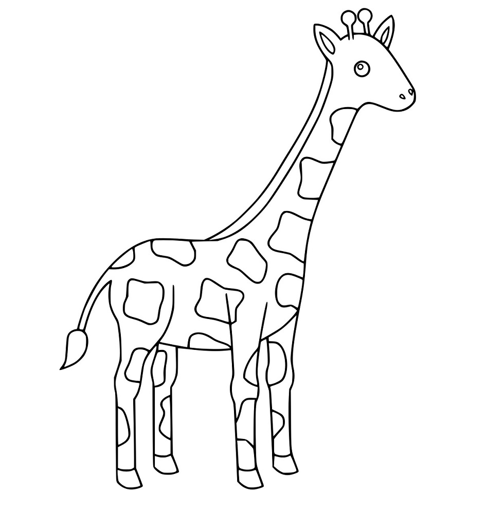 Niedliche Giraffe in der Karikatur