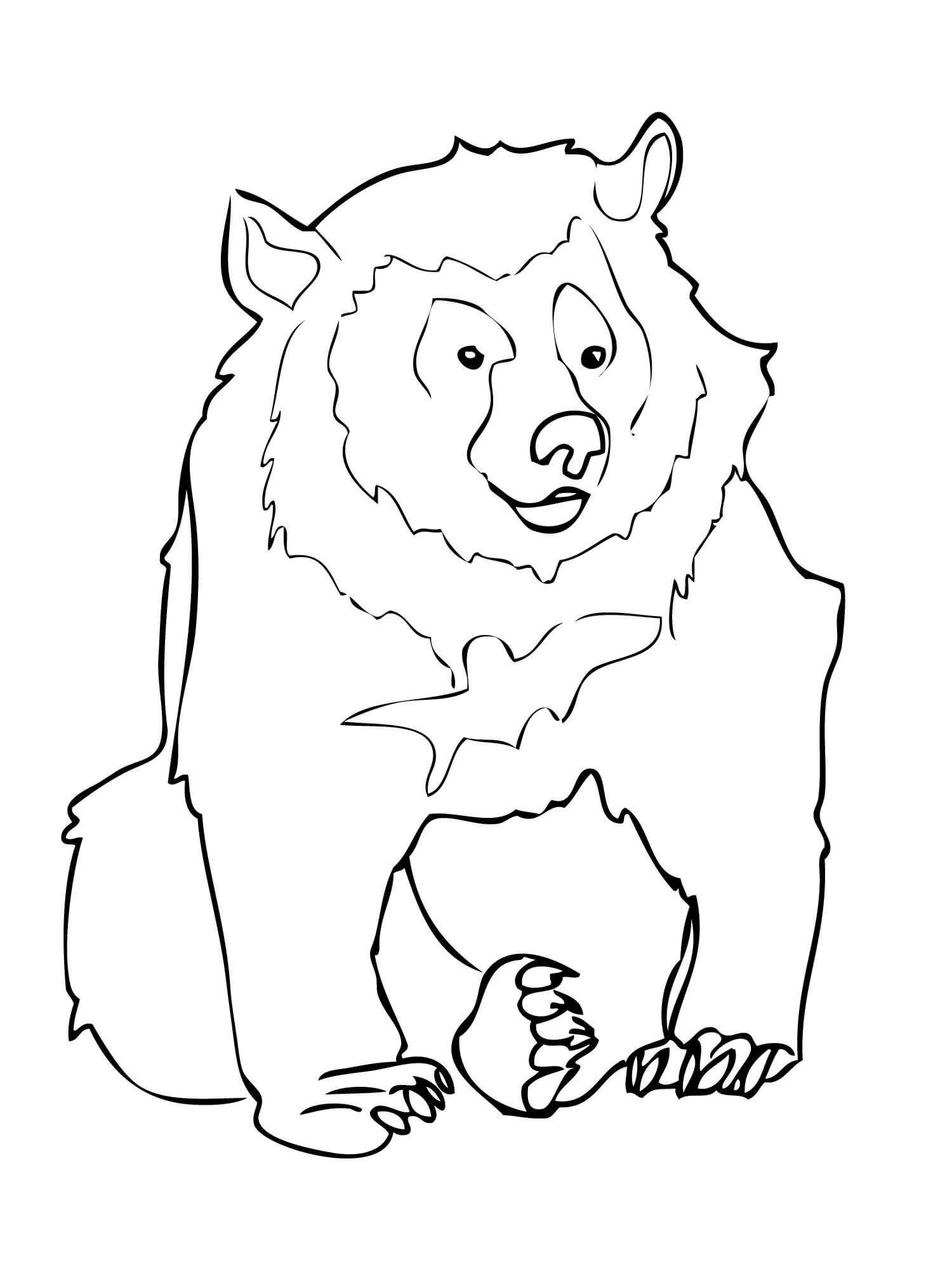 Normaler Bären