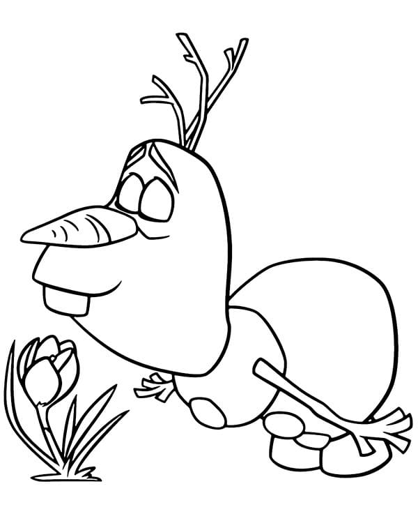 Olaf mit Blume
