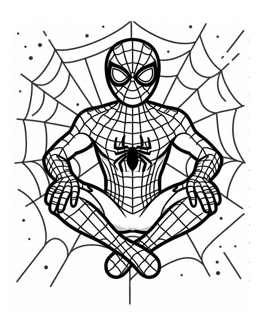 Perfekter Spiderman