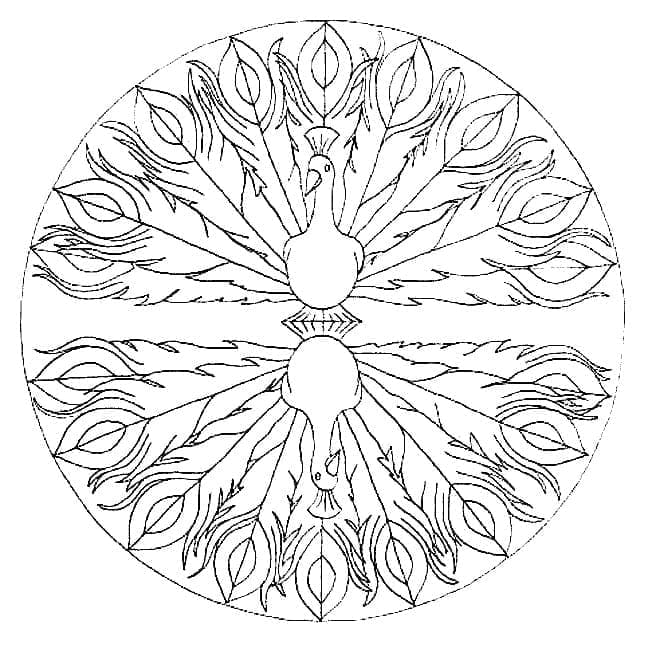 Pfauen Tiere Mandala