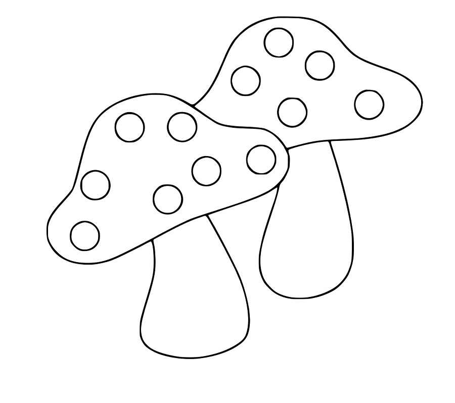 Zwei einfache Pilz
