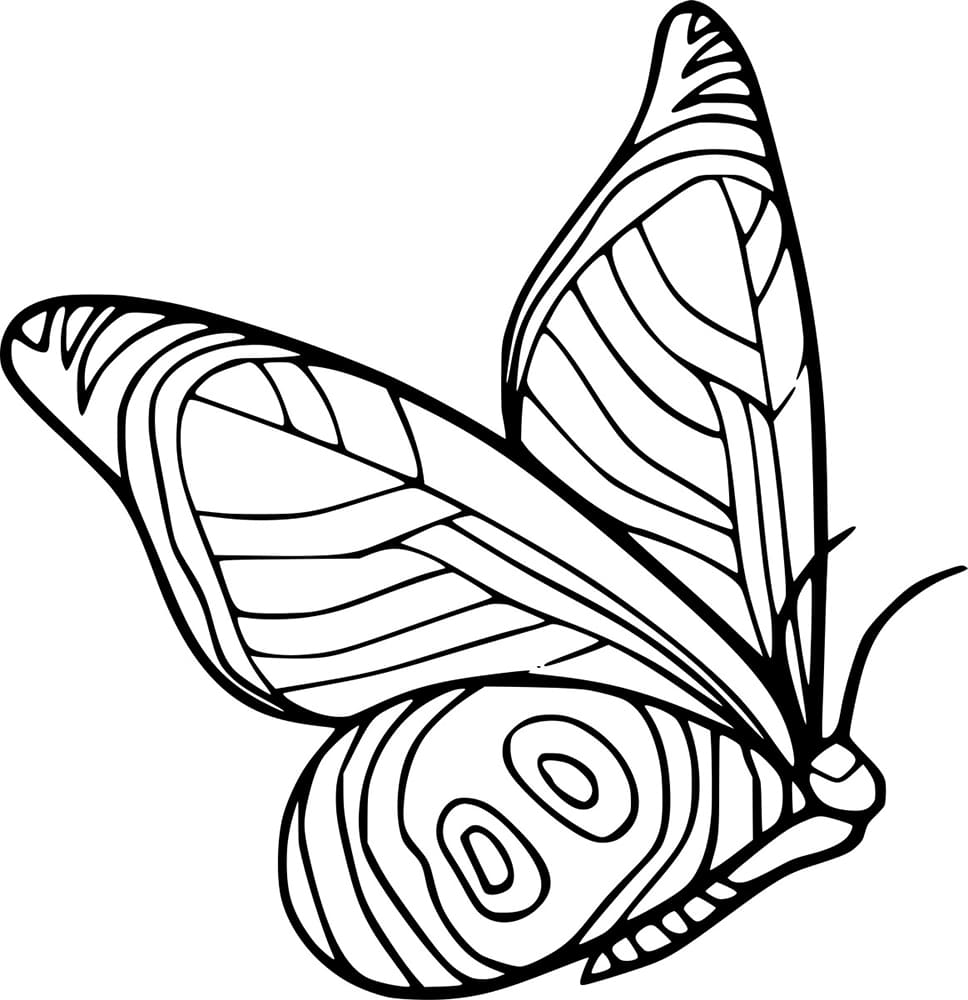 Abstrakter Schmetterling