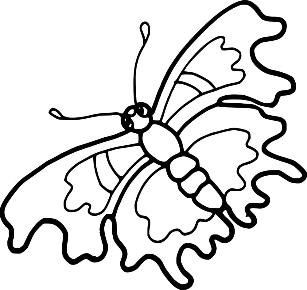 Ansprechender Schmetterling