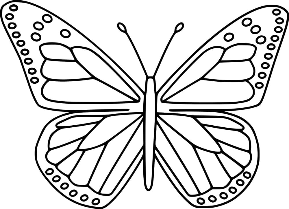 Bezaubernder Schmetterling