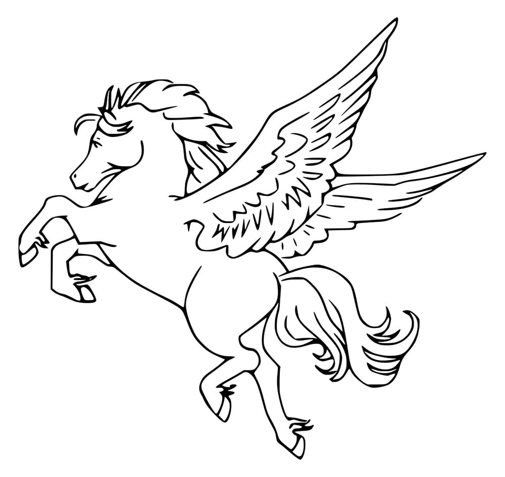 Einfach fliegen mit dem Pegasus