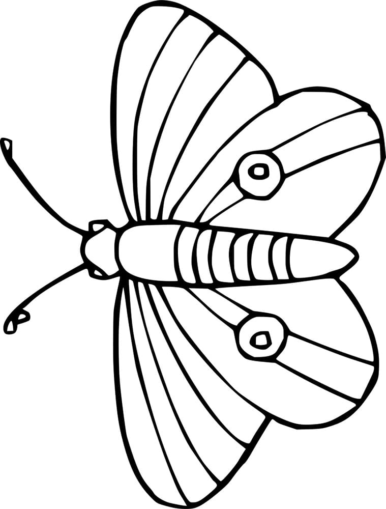 Einfacher Schmetterling fliegen