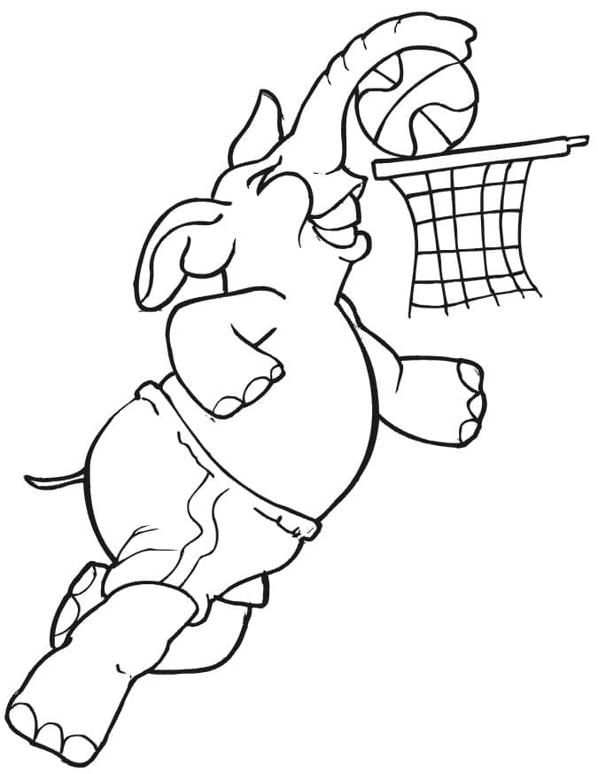 Elefant spielt Basketball