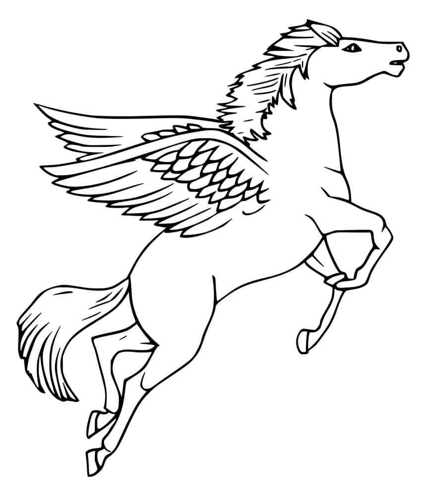 Fliegender einfacher Pegasus