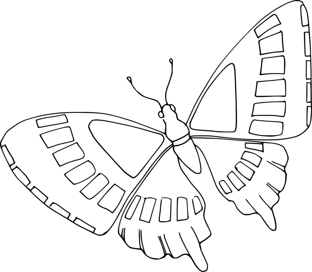 Geometrischer Schmetterling