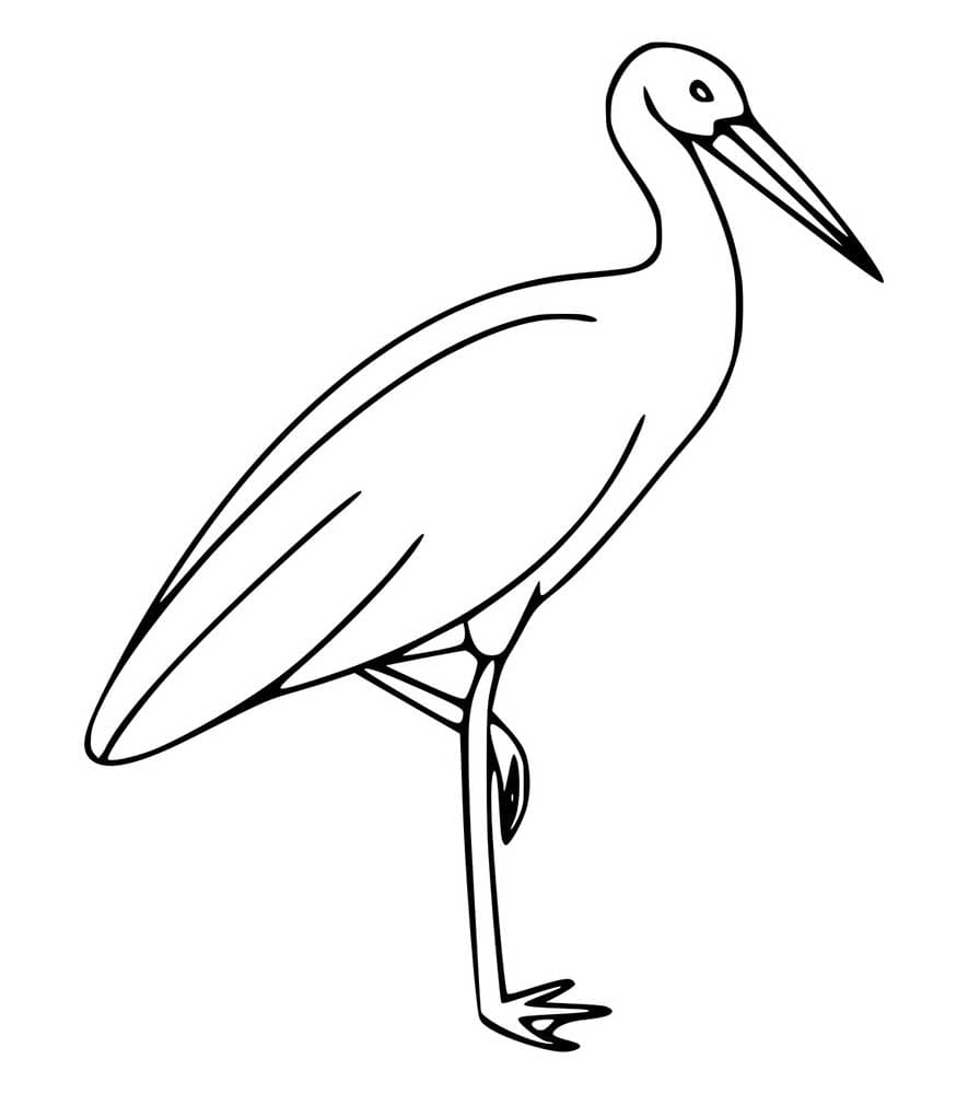 Storch