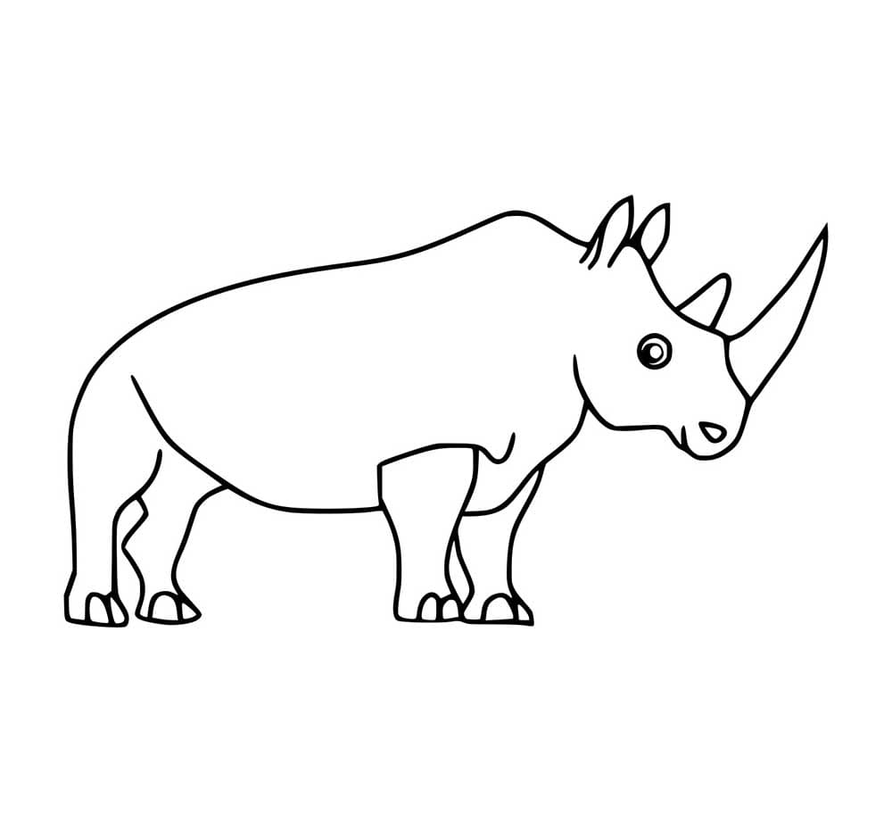 Einfaches Nashorn