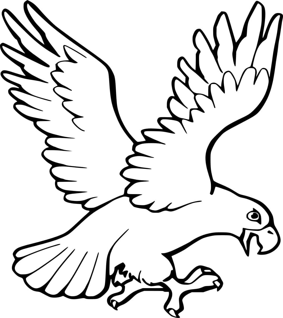 Fliegender Adler