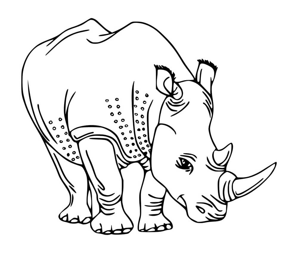 Java Nashorn