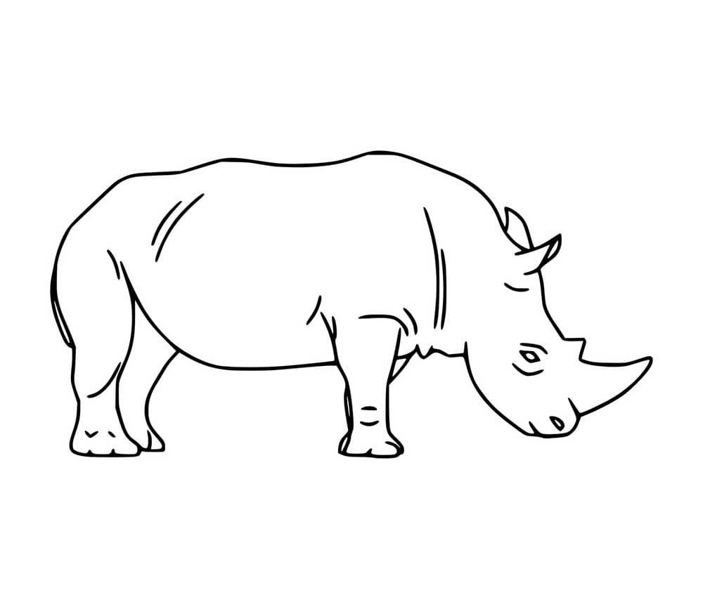 Nashorn Einfaches