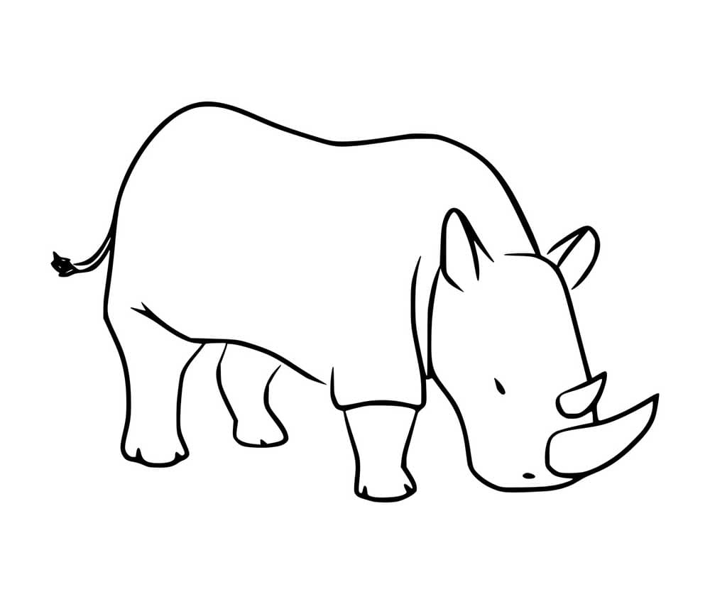 Nashorn für Kinder