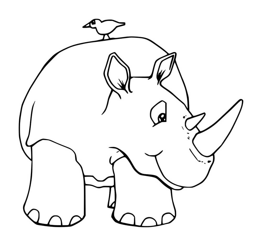 Nashorn mit Vogel