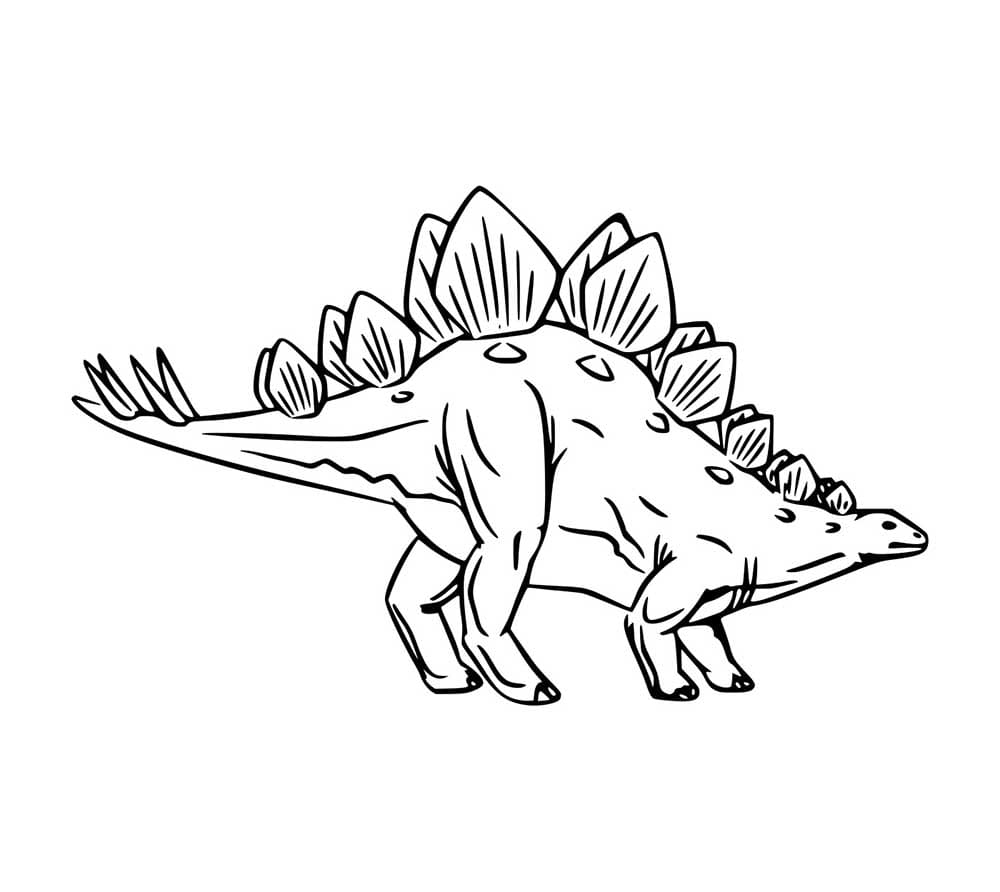 Stegosaurus so groß