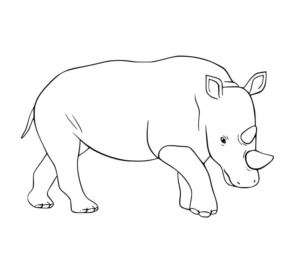 Wanderndes Nashorn