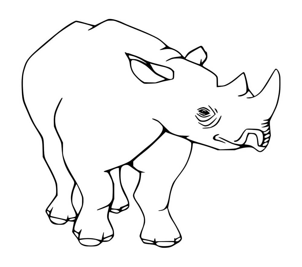 Wütendes Nashorn