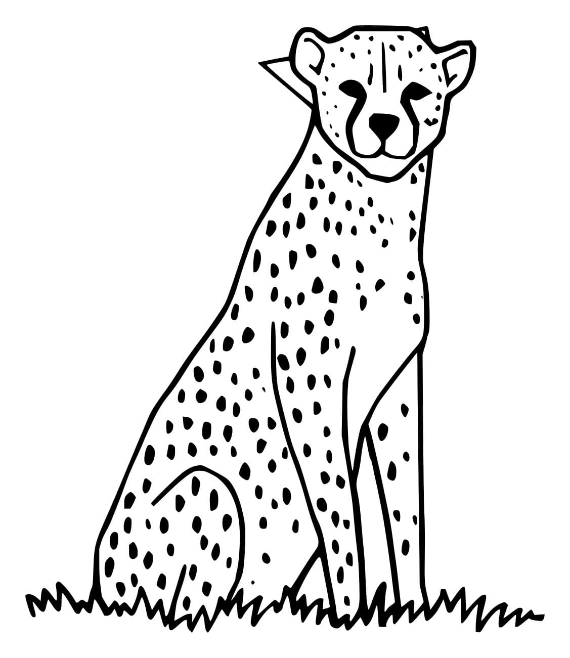 Gepard auf dem Gras