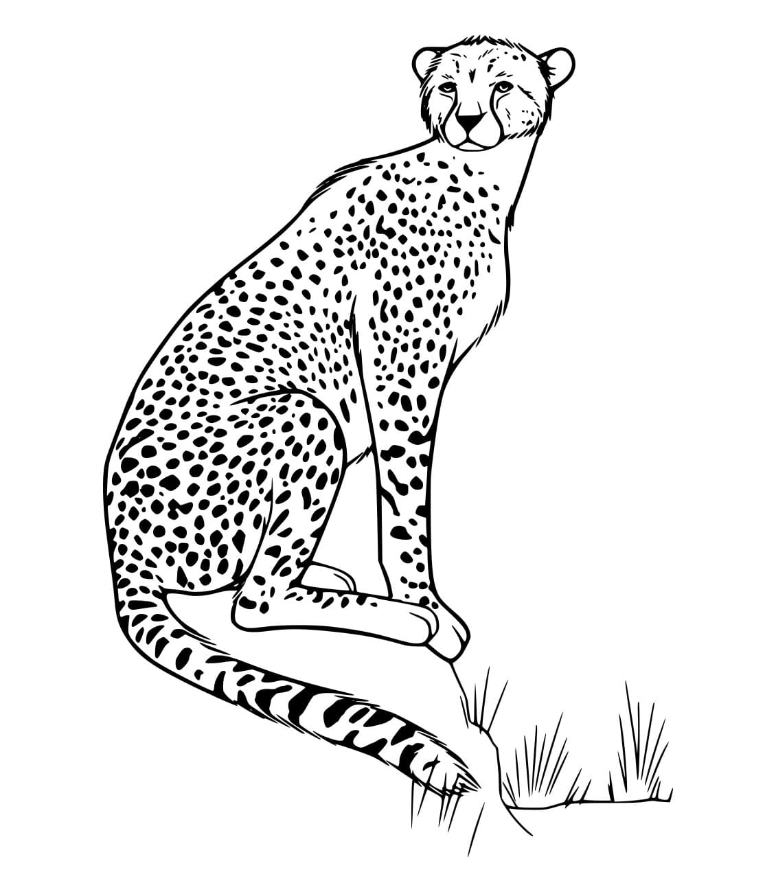 Realistischer Gepard