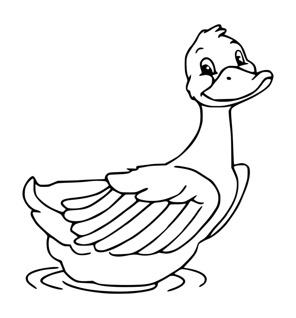 Süße Ente schwimmen