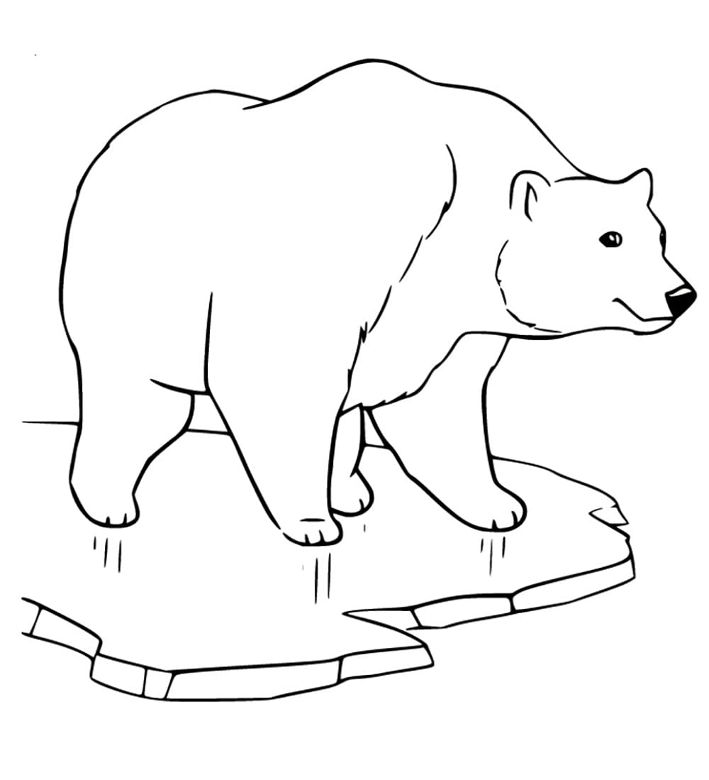 Ausmalbilder Eisbär