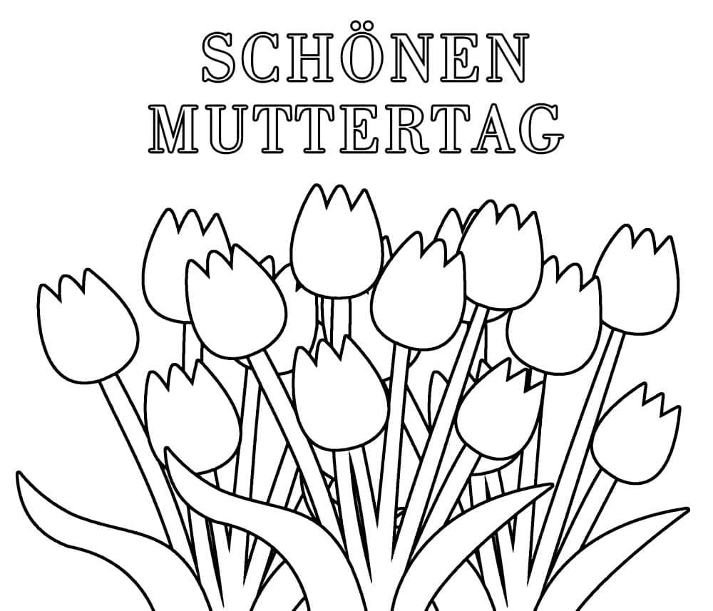 Tulpen Schöne Muttertag